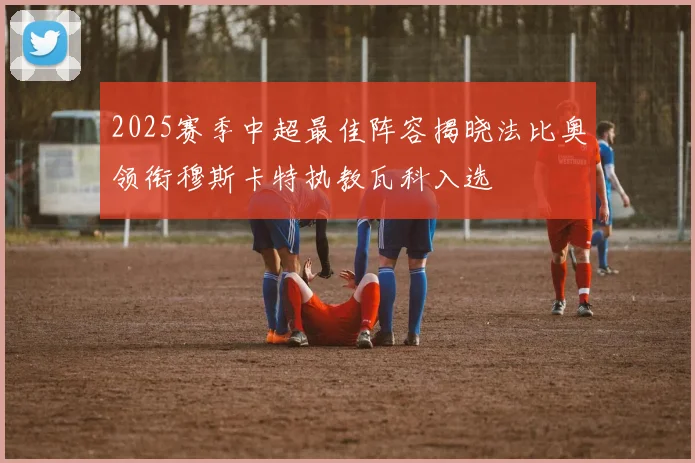 2025赛季中超最佳阵容揭晓法比奥领衔穆斯卡特执教瓦科入选